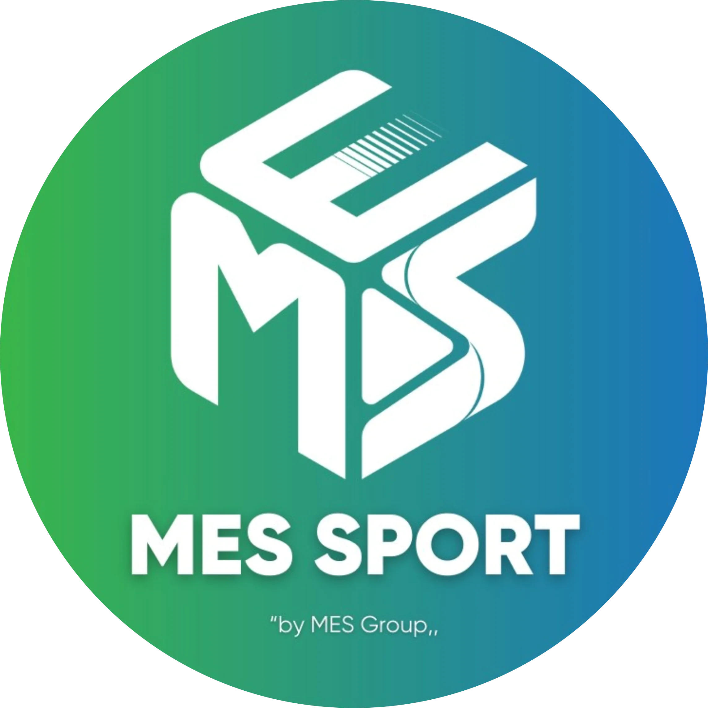 Logo MES Sport Vungtau